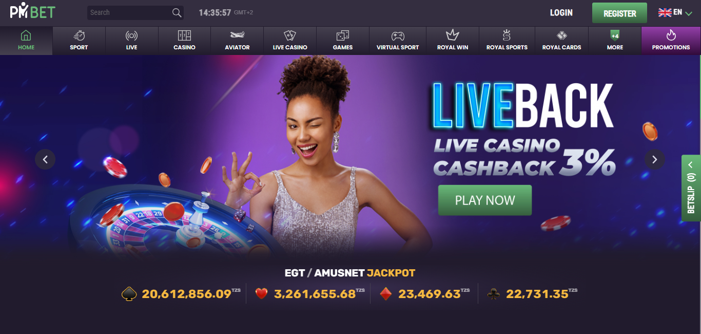 Image shows Pmbet Main page